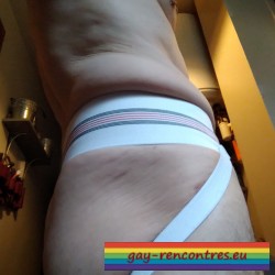 Membre gay