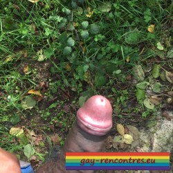 Membre gay